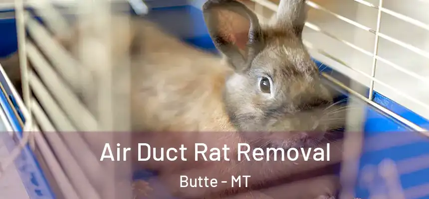 Air Duct Rat Removal Butte - MT