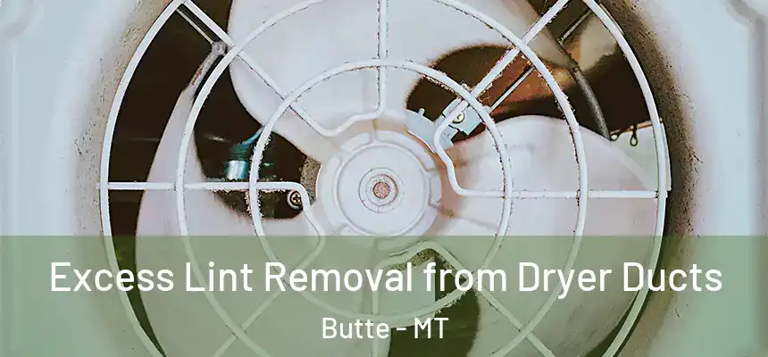 Excess Lint Removal from Dryer Ducts Butte - MT