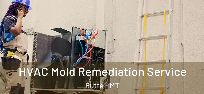 HVAC Mold Remediation Service Butte - MT