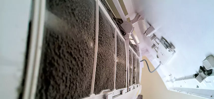 Preventive Air Duct Bacteria Removal in Butte