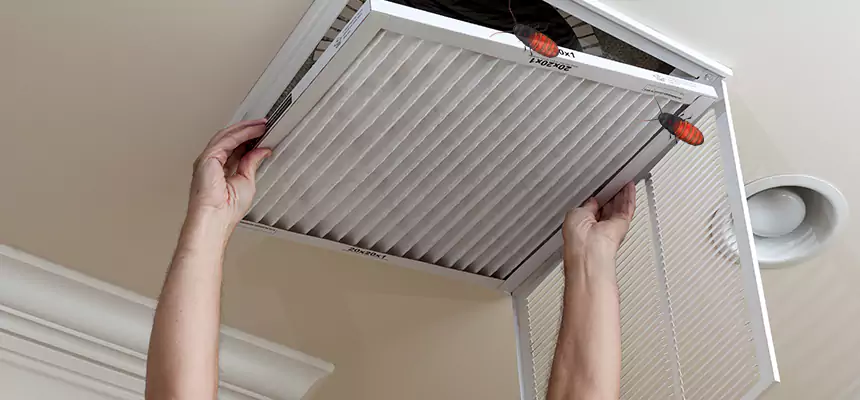 Preventive Cockroach-Proofing for Ducts in Butte