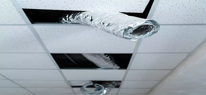 Our Air Duct Pet Hair Removal Services in Butte, MT