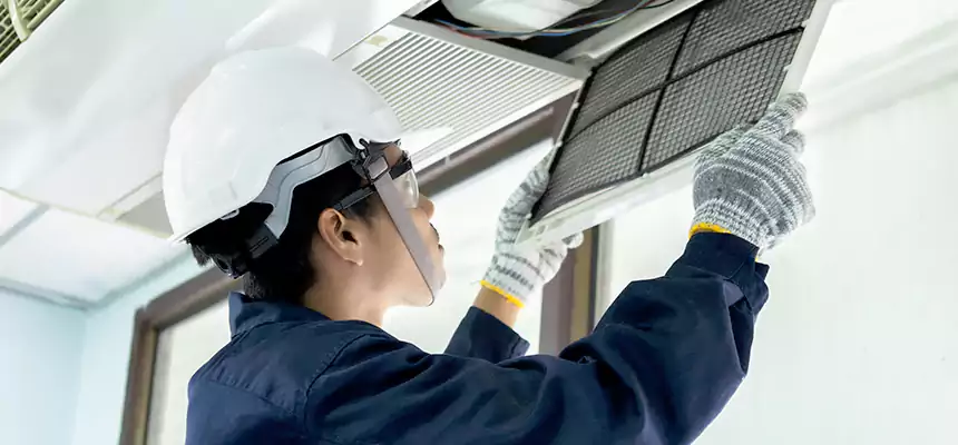 Our Mold & Mildew Removal from Air Ducts Services in Butte, MT