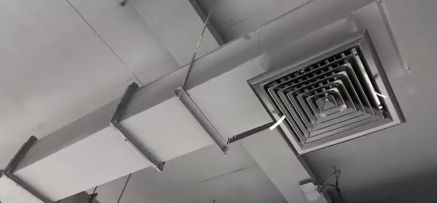 Our Rodent Droppings In Vents Services in Butte, MT