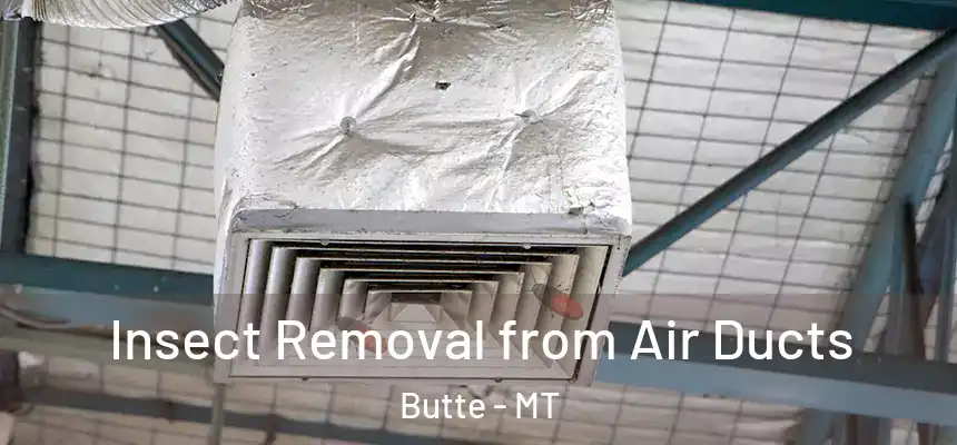  Insect Removal from Air Ducts Butte - MT