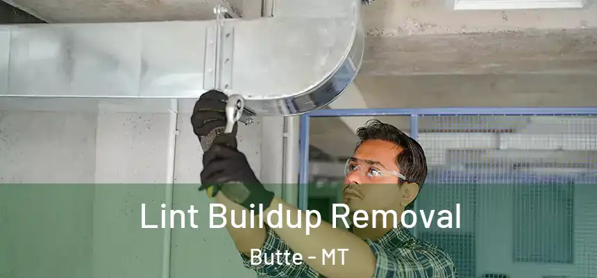 Lint Buildup Removal Butte - MT