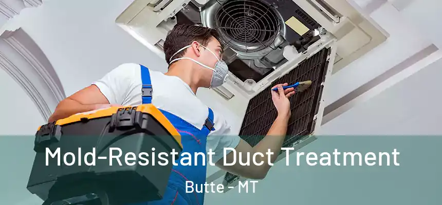  Mold-Resistant Duct Treatment Butte - MT
