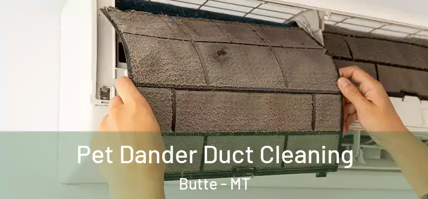 Pet Dander Duct Cleaning Butte - MT