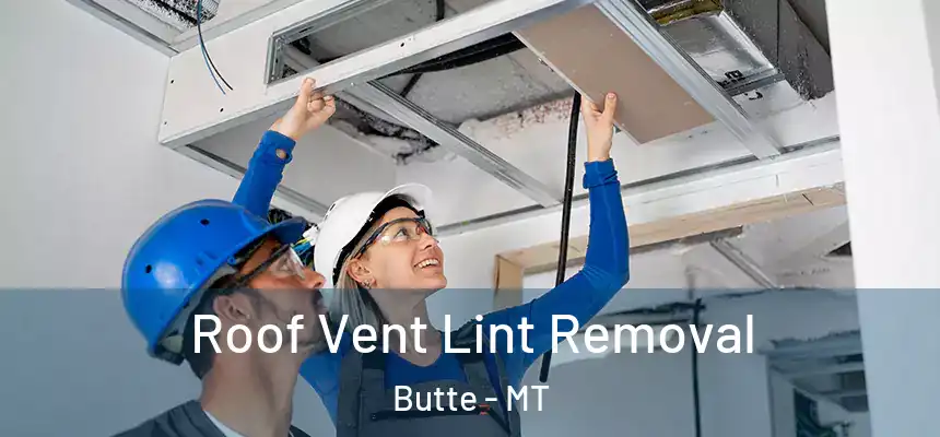 Roof Vent Lint Removal Butte - MT