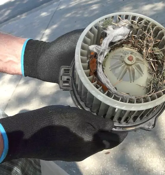 About Air Duct Rat Removal in Butte, MT