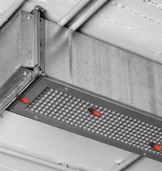Affordable Insect Removal from Air Ducts in Butte, MT