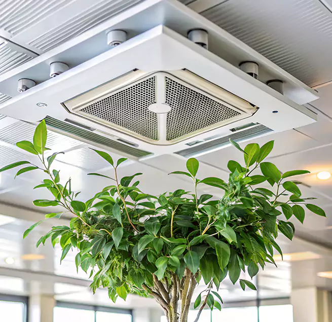 Why Homeowners & Businesses Trust Us in Butte, MT?